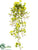 Silk Plants Direct Geranium Hanging Bush - Yellow - Pack of 12