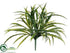 Silk Plants Direct Grass Bush - Green White - Pack of 12