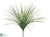 Onion Grass Bush - Green - Pack of 12