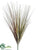 Onion Grass Bush - Green Rust - Pack of 12