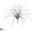 Onion Grass Bush - Green Gray - Pack of 48