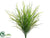 Wild Willow Grass Bush - Green Dark - Pack of 24