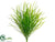 Wild Willow Grass Bush - Green Light - Pack of 24