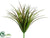 Vanilla Grass Bush - Green Brown - Pack of 24