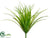 Vanilla Grass Bush - Green Brown Green Frosted - Pack of 24