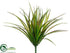 Silk Plants Direct Vanilla Grass Bush - Green Red - Pack of 24