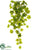 Silk Plants Direct Grape Leaf Bush - Green - Pack of 12