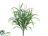 Silk Plants Direct Grass Bush - Green - Pack of 12