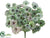 Grape Leaf Bush - Green Mauve - Pack of 6