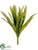 Lily Tuft Grass Bush - Green - Pack of 24