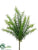 Silk Plants Direct Sprengeri Grass Bush - Green - Pack of 12