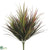 Vanilla Grass Bush - Green Burgundy - Pack of 24