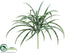 Silk Plants Direct Grass Bush - Green - Pack of 12