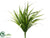 River Grass Bush - Green Cream - Pack of 12