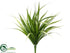 Silk Plants Direct River Grass Bush - Green Cream - Pack of 12