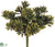 Succulent Grass Bush - Green Brown - Pack of 24