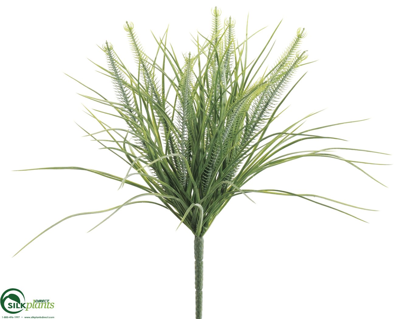 money grass plant Monkey Grass Bush - Green Two Tone - Pack of 24 - (CTT/RG-329GBPS)