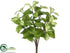 Silk Plants Direct Hoya Bush - Green Cream - Pack of 12