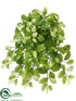 Silk Plants Direct Hoya Bush - Green Cream - Pack of 12
