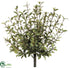 Silk Plants Direct Oregano Bush - Green - Pack of 6