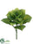 Hydrangea Leaf Bush - Green - Pack of 12