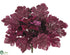 Silk Plants Direct Heuchera Plant - Plum - Pack of 6