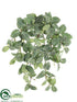 Silk Plants Direct Mini Fittonia Hanging Bush - Green White - Pack of 12