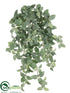Silk Plants Direct Mini Fittonia Hanging Bush - Green White - Pack of 6