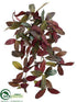 Silk Plants Direct Laurel Hanging Bush - Burgundy - Pack of 6
