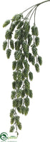 Silk Plants Direct Hops Hanging Bush - Green Frosted - Pack of 12