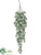 Hops Hanging Bush - Green Gray - Pack of 12