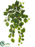 Silk Plants Direct Ivy Hanging Bush - Green - Pack of 6