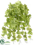 Silk Plants Direct Ivy Hanging Bush - Green Cream - Pack of 6