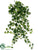 Mini Ivy Vine Hanging Bush - Green - Pack of 12