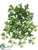 Needle Ivy Bush - Green - Pack of 12