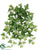 Needle Ivy Bush - Green - Pack of 12