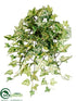 Silk Plants Direct Needle Ivy Bush - Variegated - Pack of 12