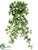 Needlepoint Ivy Hanging Bush - Green - Pack of 12