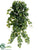 Ivy Vine Hanging Bush - Green Two Tone - Pack of 12