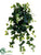 Ivy Hanging Plant - Green - Pack of 6