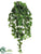 Hedera Ivy Vine Bush - Green - Pack of 4