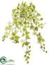 Silk Plants Direct Ivy Hanging Bush - Cream Green - Pack of 6
