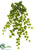 Ivy Hanging Bush - Green - Pack of 6