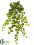 Silk Plants Direct Ivy Hanging Bush - Green - Pack of 6