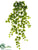 Ivy Hanging Bush - Green - Pack of 6