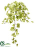 Silk Plants Direct Ivy Bush - Cream Green - Pack of 12