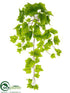 Silk Plants Direct Ivy Bush - Green Light - Pack of 12