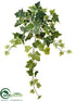 Silk Plants Direct Ivy Bush - Variegated - Pack of 12