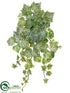 Silk Plants Direct Grape Ivy Leaf Bush - Green Frosted - Pack of 6