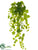 Silk Plants Direct Grape Ivy Leaf Bush - Green - Pack of 6